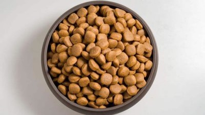 貓糧風(fēng)味劑的生產(chǎn)如何選擇酶制劑？