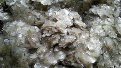 堿性蛋白酶酶解魚鱗制備膠原蛋白多肽，成品有沉淀？