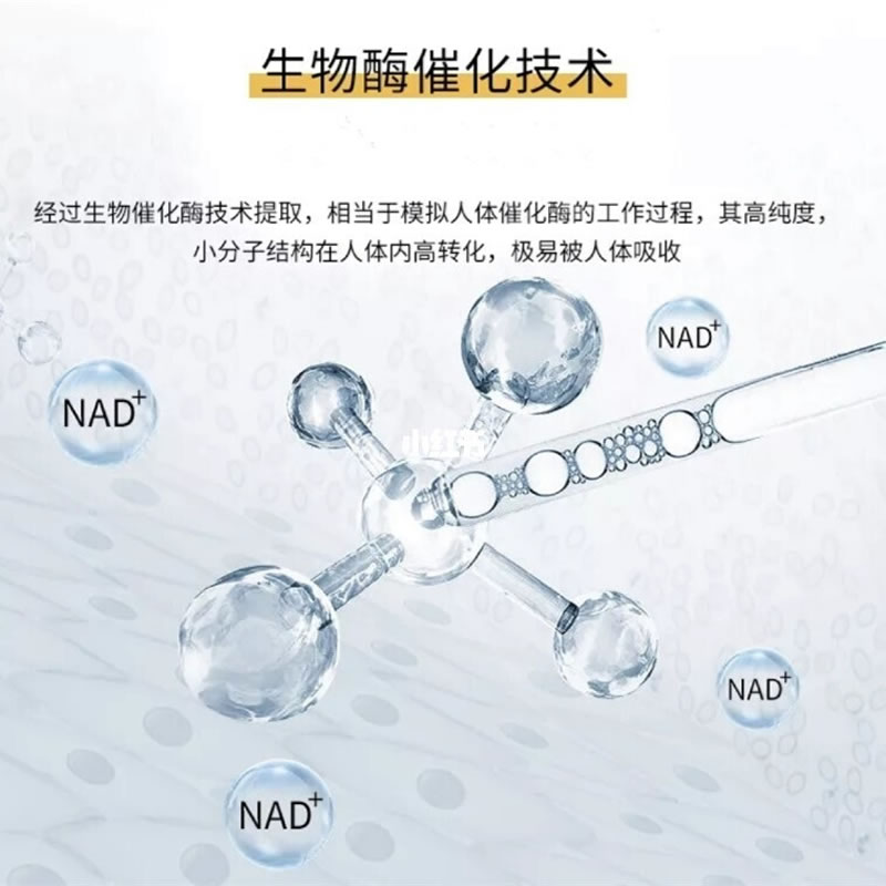 生物酶解技術