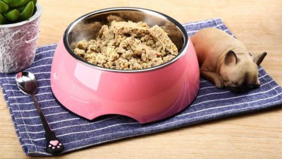 牛肉蛋白質(zhì)酶解制備寵物誘食劑，如何選酶？