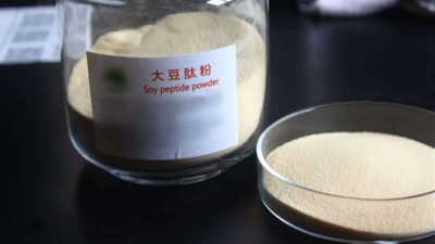 生產(chǎn)大豆低聚肽與多肽會(huì)用到哪些酶制劑？