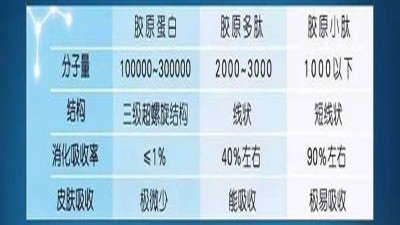 復合酶制劑助力膠原蛋白肽提取品質升級