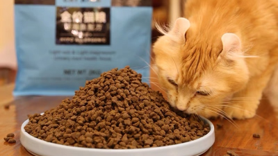 如何酶解雞肝粉提高貓糧誘食劑誘食性？