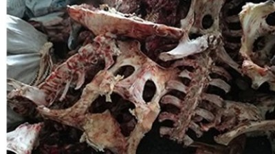 牛骨、豬骨蛋白胨生產，適合的酶制劑有哪些呢？
